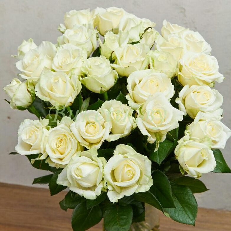 Белая роза 