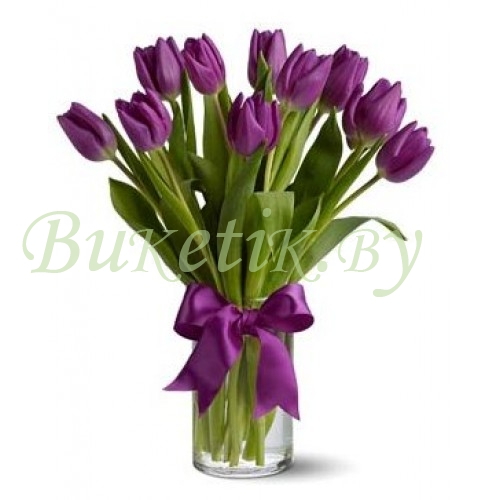 Тюльпаны фиолетовые