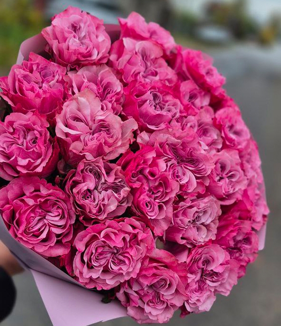 Роскошный букет 25 пионовидных Кантри блю