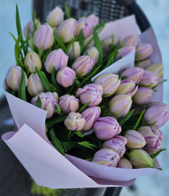 Лиловорозовый тюльпан Дабл Прайс