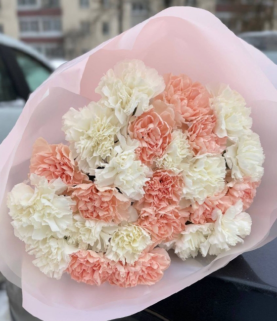 25 Диантусов