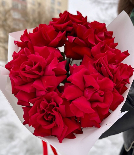 Алые Французский Розы