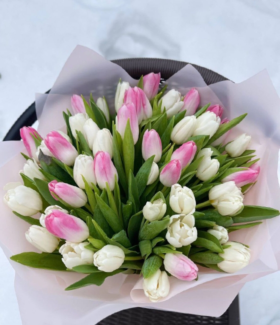 Букет из 51 весеннего тюльпана (белый/розовый)