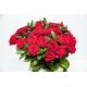 Роскошные розы эквадор 25 шт